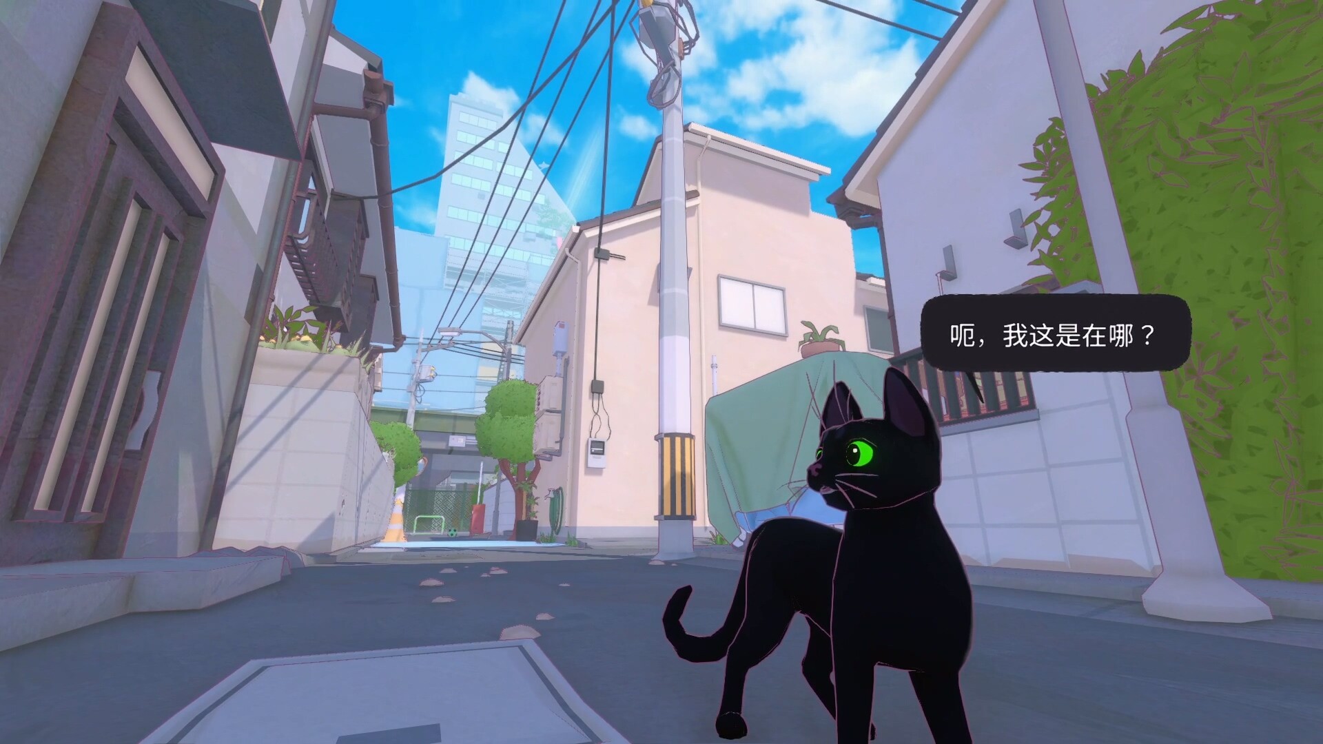 1715317381748196.jpg 小猫咪大城市/Little Kitty, Big City