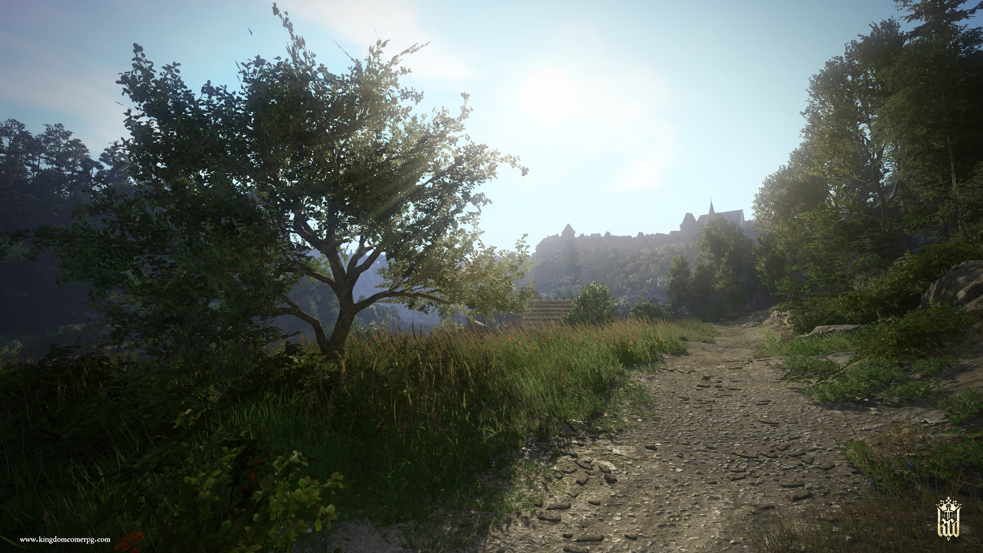天国：拯救/Kingdom Come: Deliverance