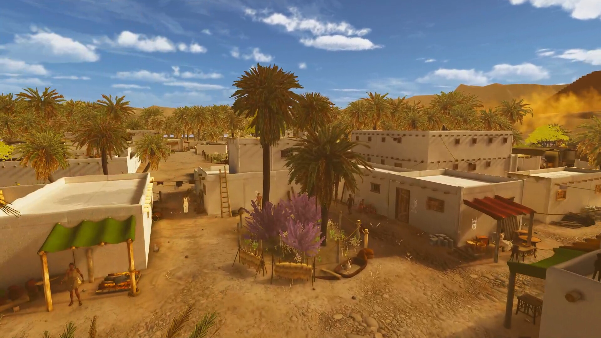 埃及前沿/Egypt Frontiers 埃及前沿/Egypt Frontiers