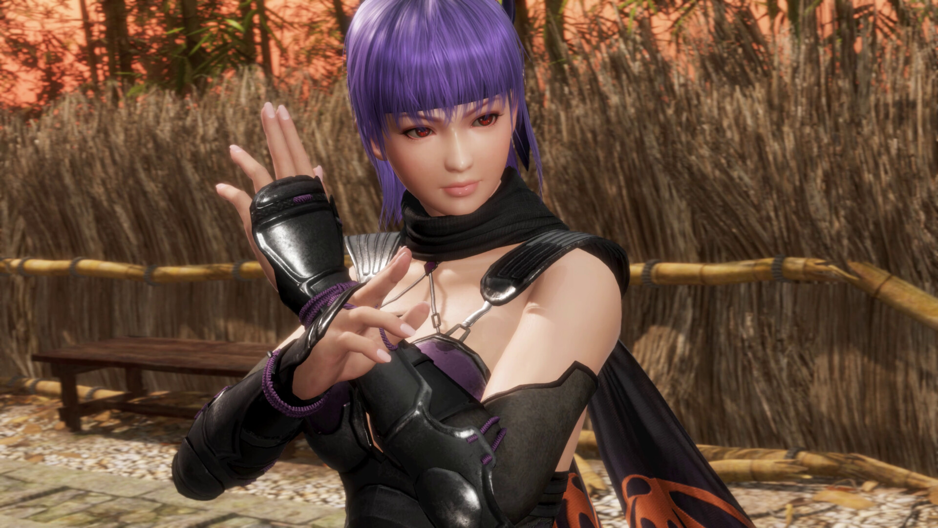 死或生6:最后一战/DEAD OR ALIVE 6 Last Round 死或生6:最后一战/DEAD OR ALIVE 6 Last Round