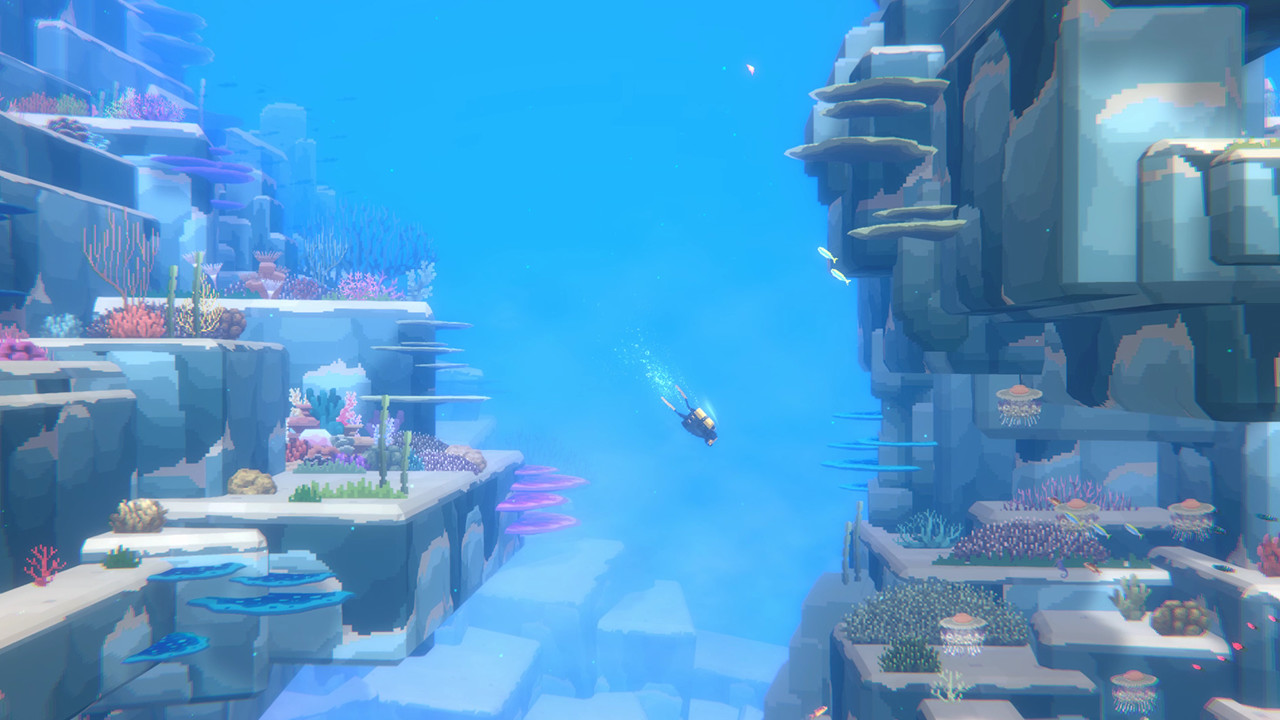 1667144316189729.jpg 潜水员戴夫/DAVE THE DIVER