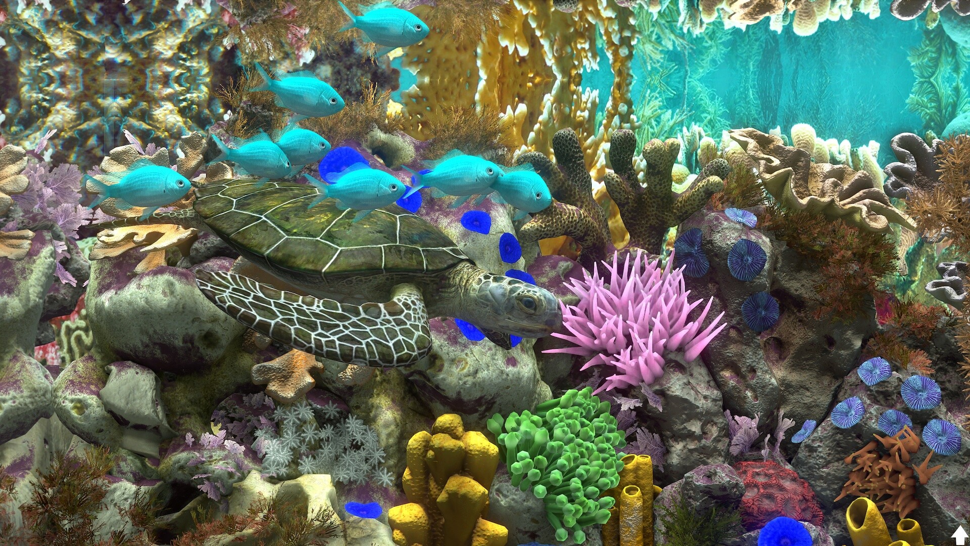 玻璃背后：水族馆模拟器/Behind Glass: Aquarium Simulator 版本更新