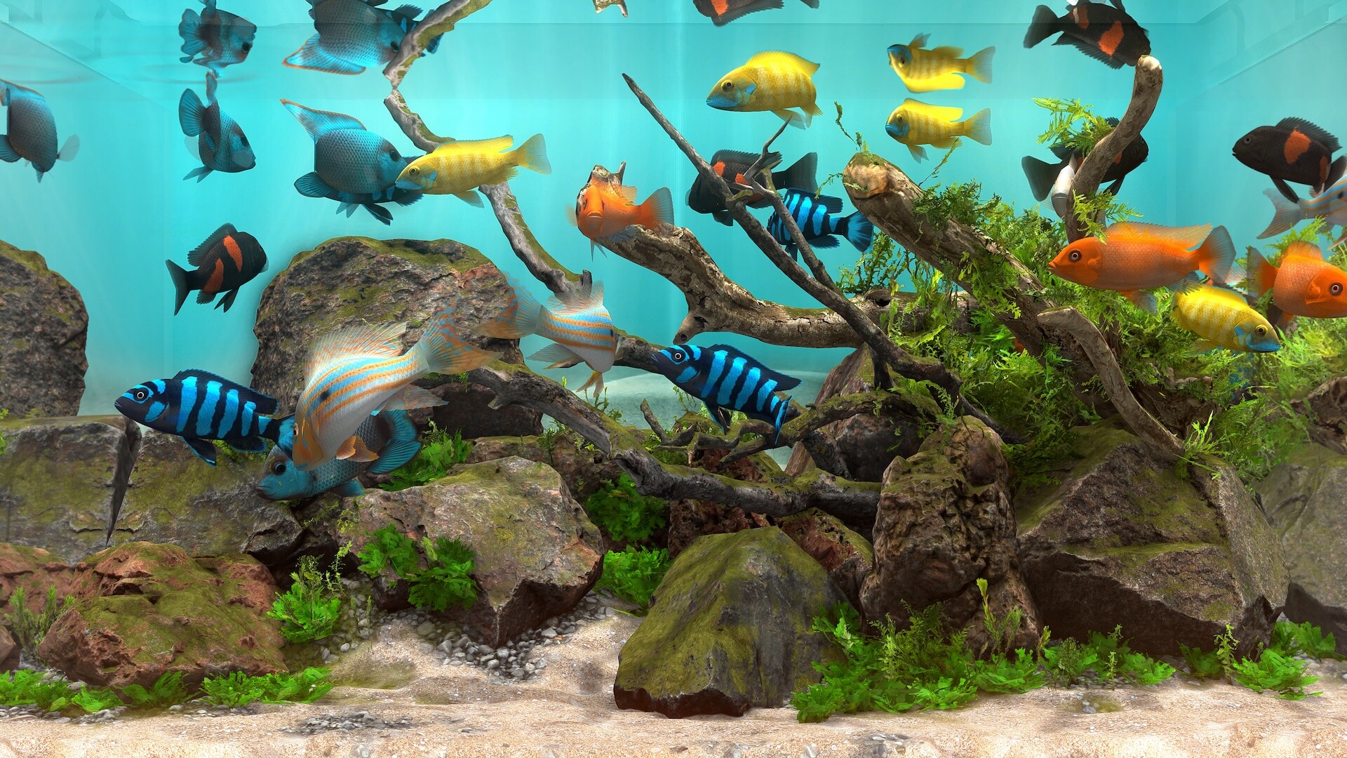 玻璃背后：水族馆模拟器/Behind Glass: Aquarium Simulator 版本更新