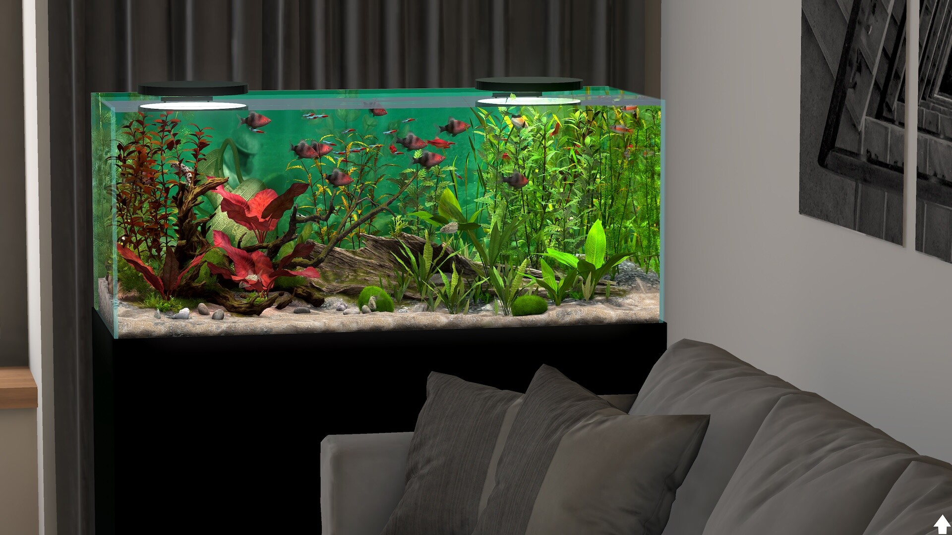玻璃背后：水族馆模拟器/Behind Glass: Aquarium Simulator 版本更新